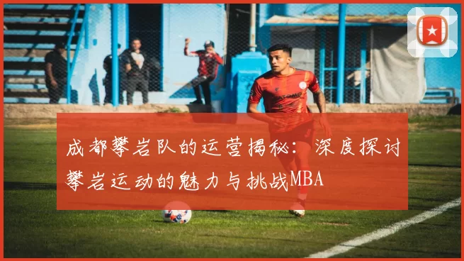 成都攀岩队的运营揭秘：深度探讨攀岩运动的魅力与挑战MBA