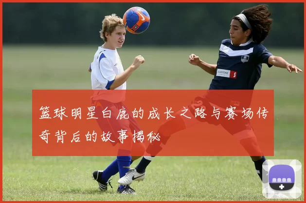 篮球明星白鹿的成长之路与赛场传奇背后的故事揭秘