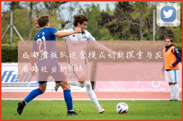 成都滑板队运营模式创新探索与发展路径分析MBA