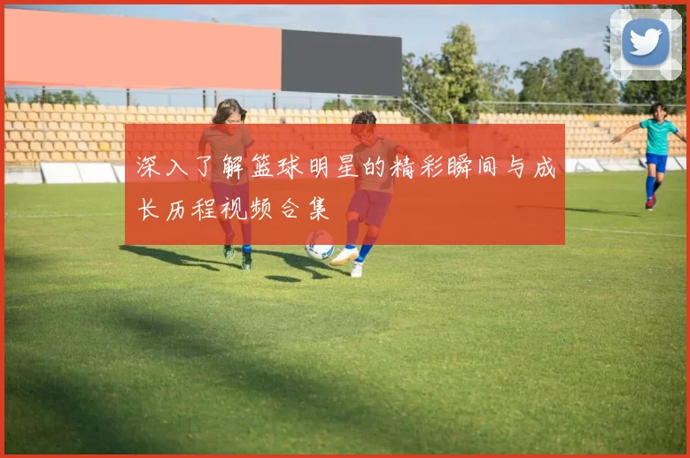 深入了解篮球明星的精彩瞬间与成长历程视频合集
