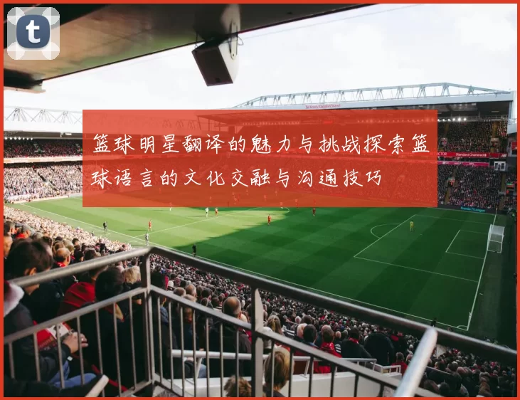篮球明星翻译的魅力与挑战探索篮球语言的文化交融与沟通技巧