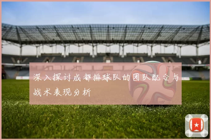 深入探讨成都排球队的团队配合与战术表现分析